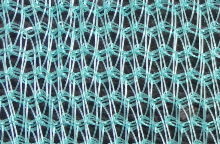 Building dense mesh