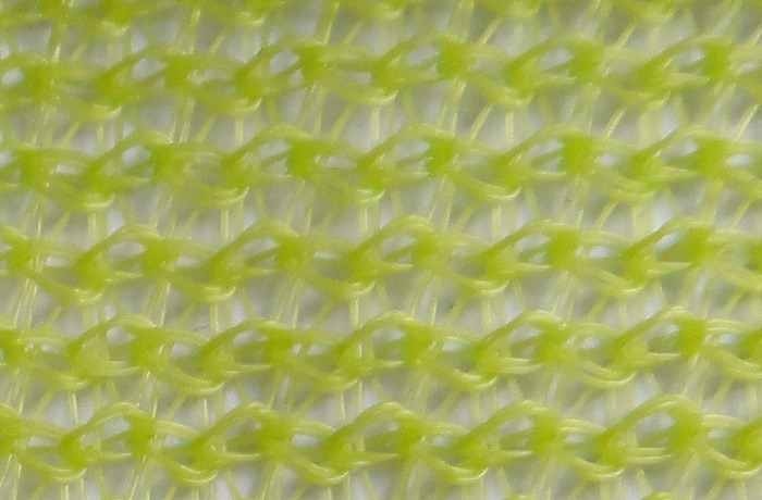 Building dense mesh