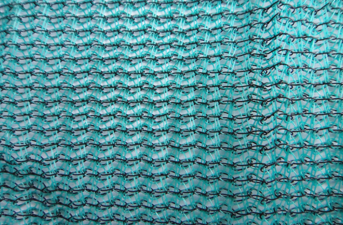 Building dense mesh