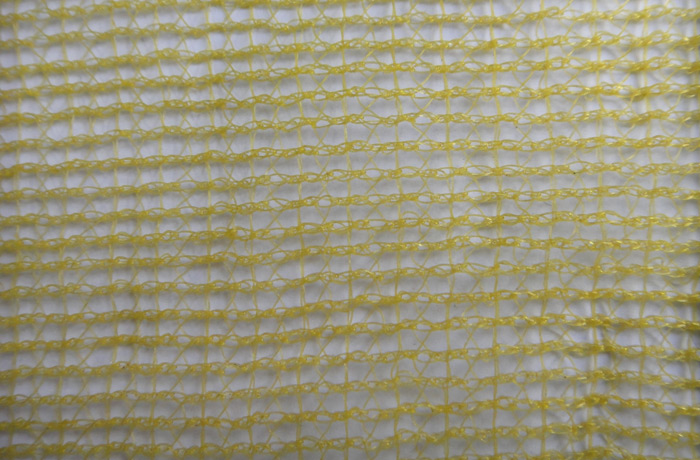 Building dense mesh