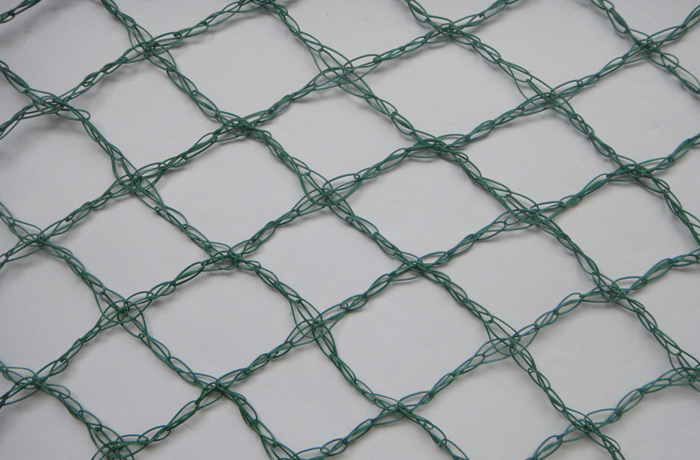 Anti bird net