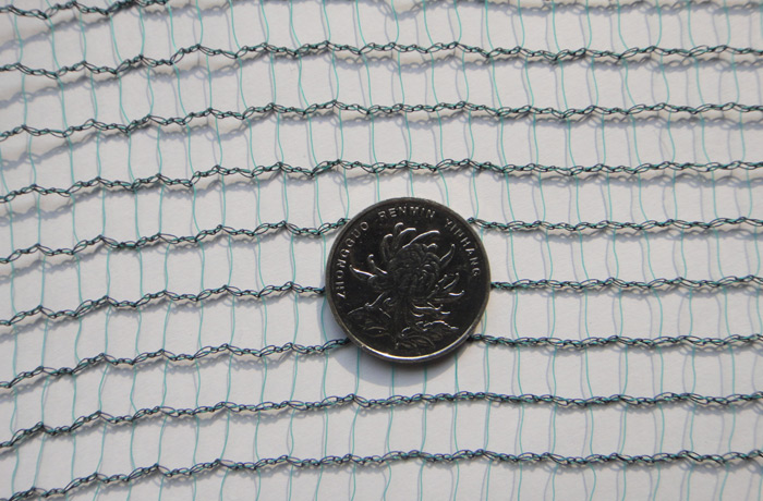 Olive net