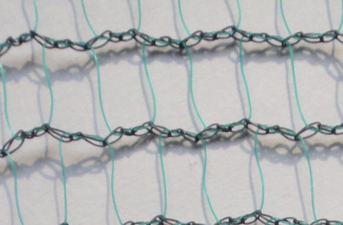 Olive net