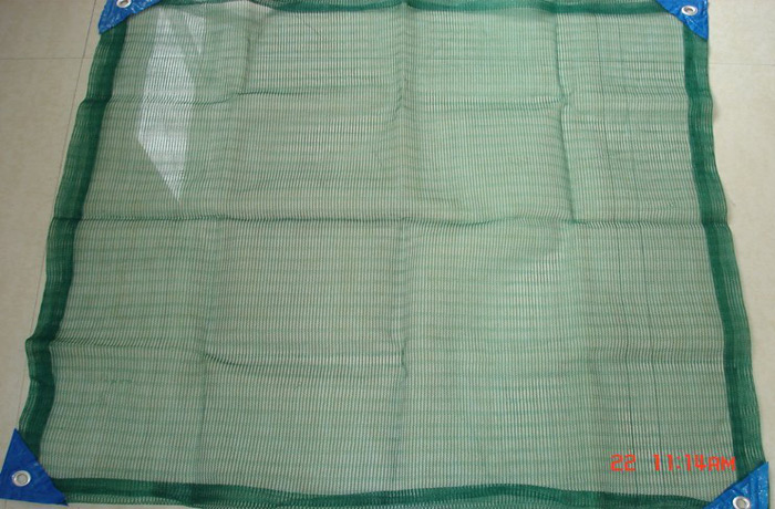 Olive net