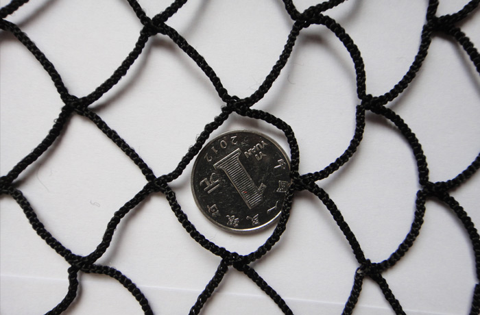 Fishing net