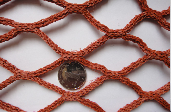 Fishing net