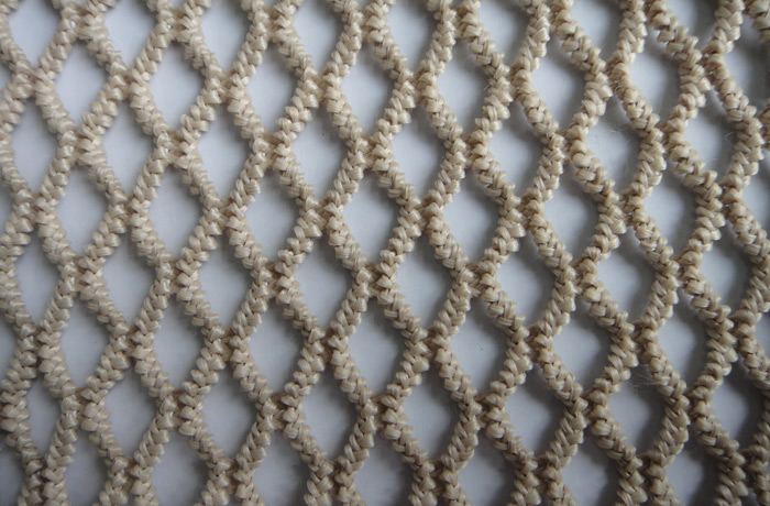 Elastic net
