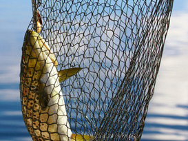 Máquina para fabricar redes de pesca